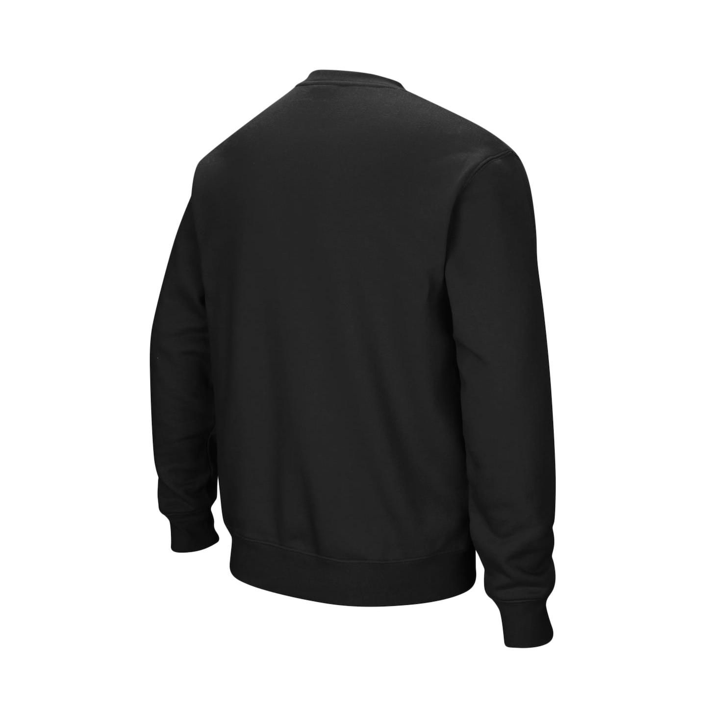 Мужская толстовка Colosseum Northwestern Wildcats Arch & Logo Crew Neck, цвет: Чёрный — фото 3