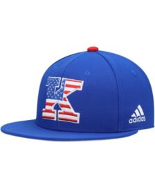 Men's adidas Camo Louisville Cardinals Military Appreciation Primegreen  Flex Hat