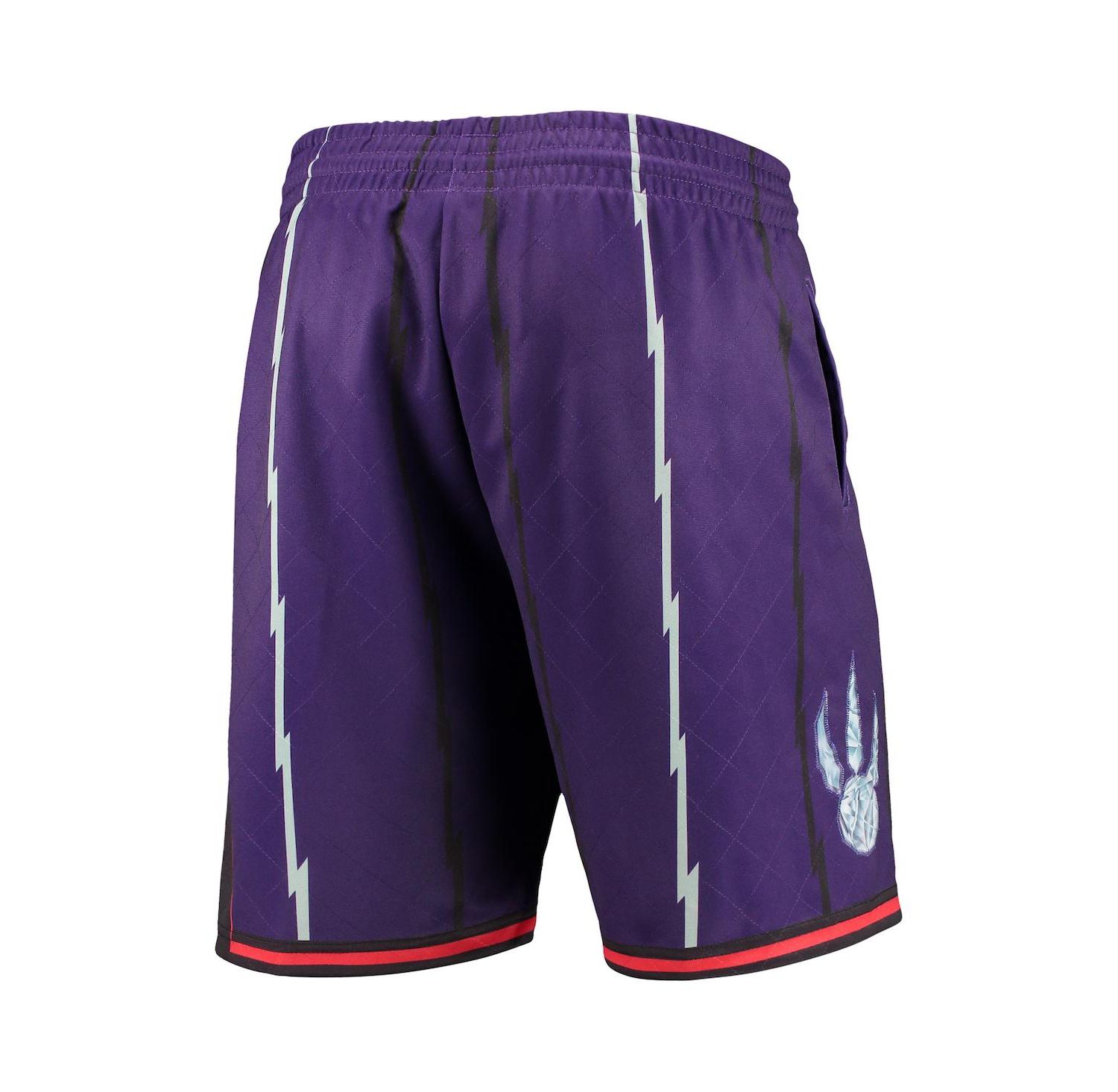 Men's Purple Toronto Raptors 1998 Hardwood Classics 75th Anniversary Swingman Shorts