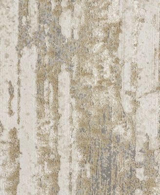 Aura R3567 1'8" x 2'10" Area Rug