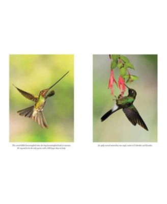 The Hummingbirds' Gift - Wonder, Beauty, and Renewal on Wings by Sy Montgomery
