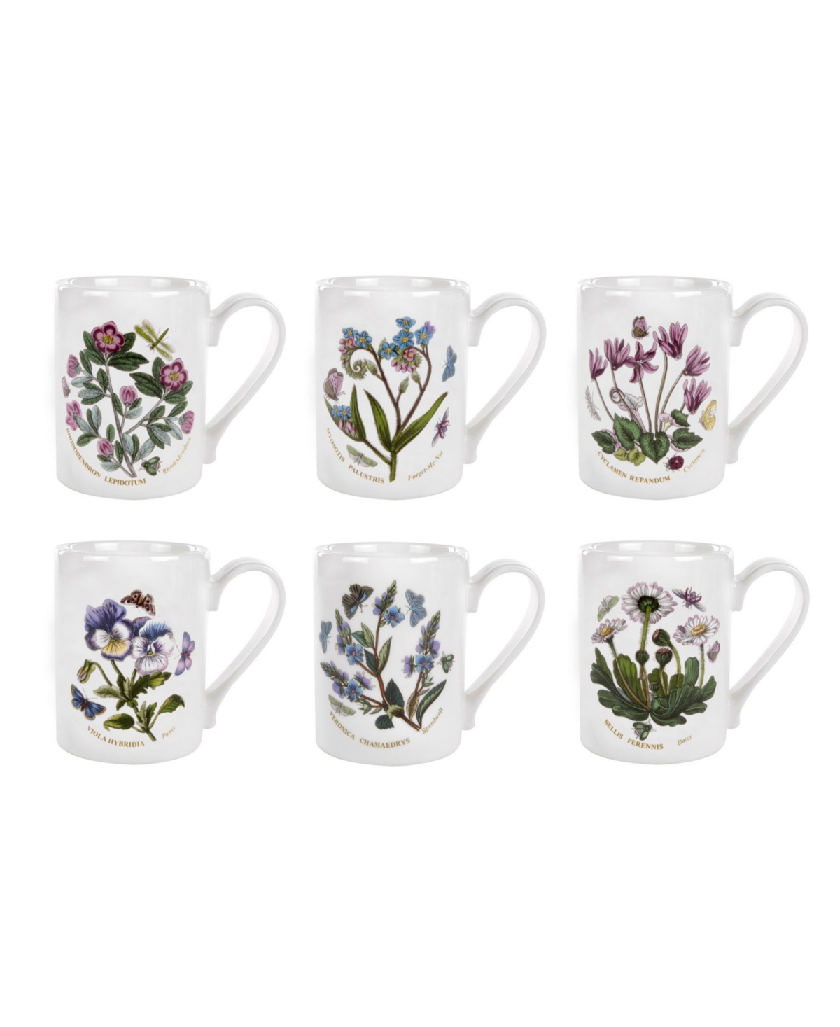 Botanic Garden Assorted Motifs Tankard-Coffee Mugs, Set of 6 - White