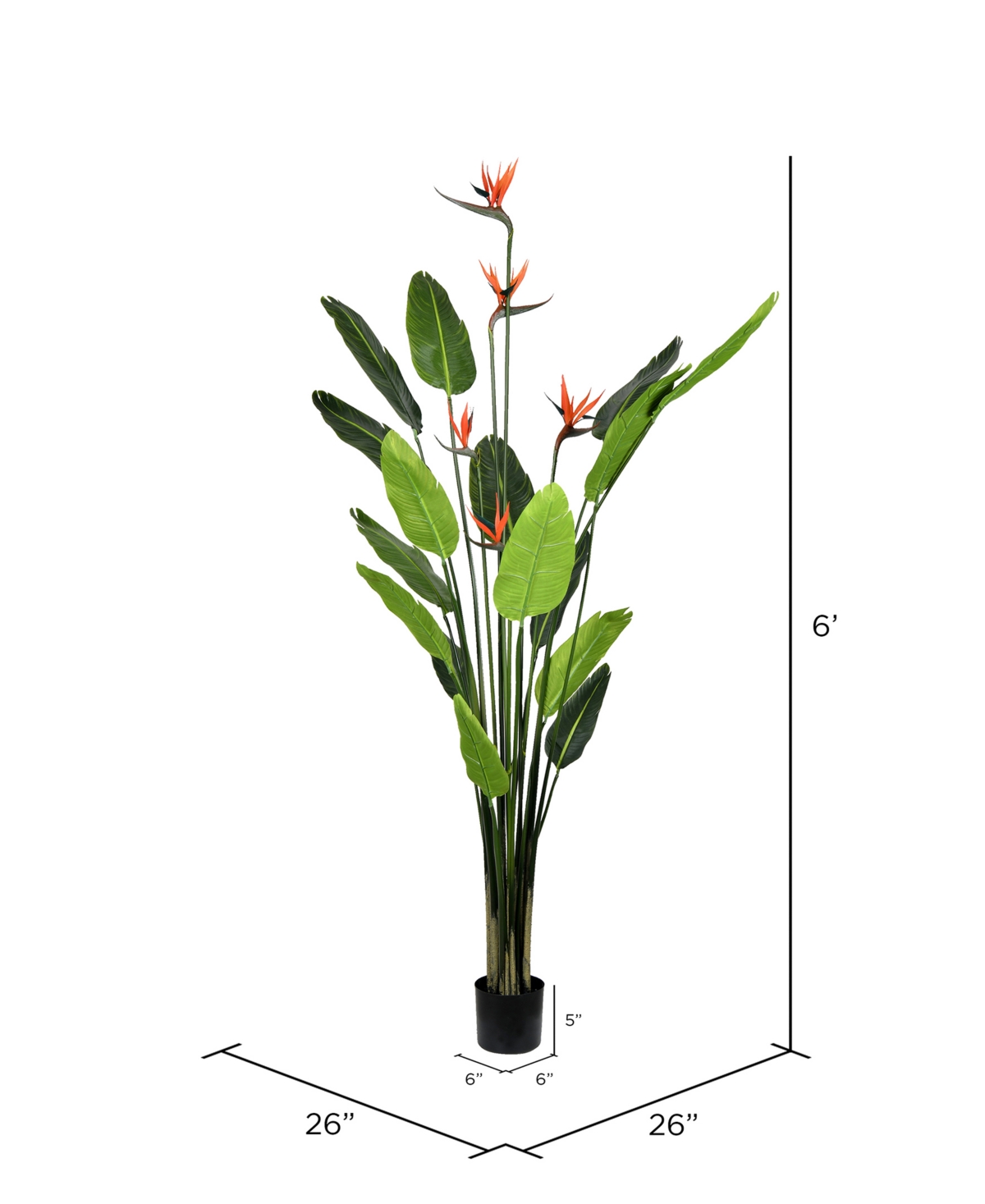 Vickerman 6' Artificial Potted Bird Of Paradise Palm Tree In Green