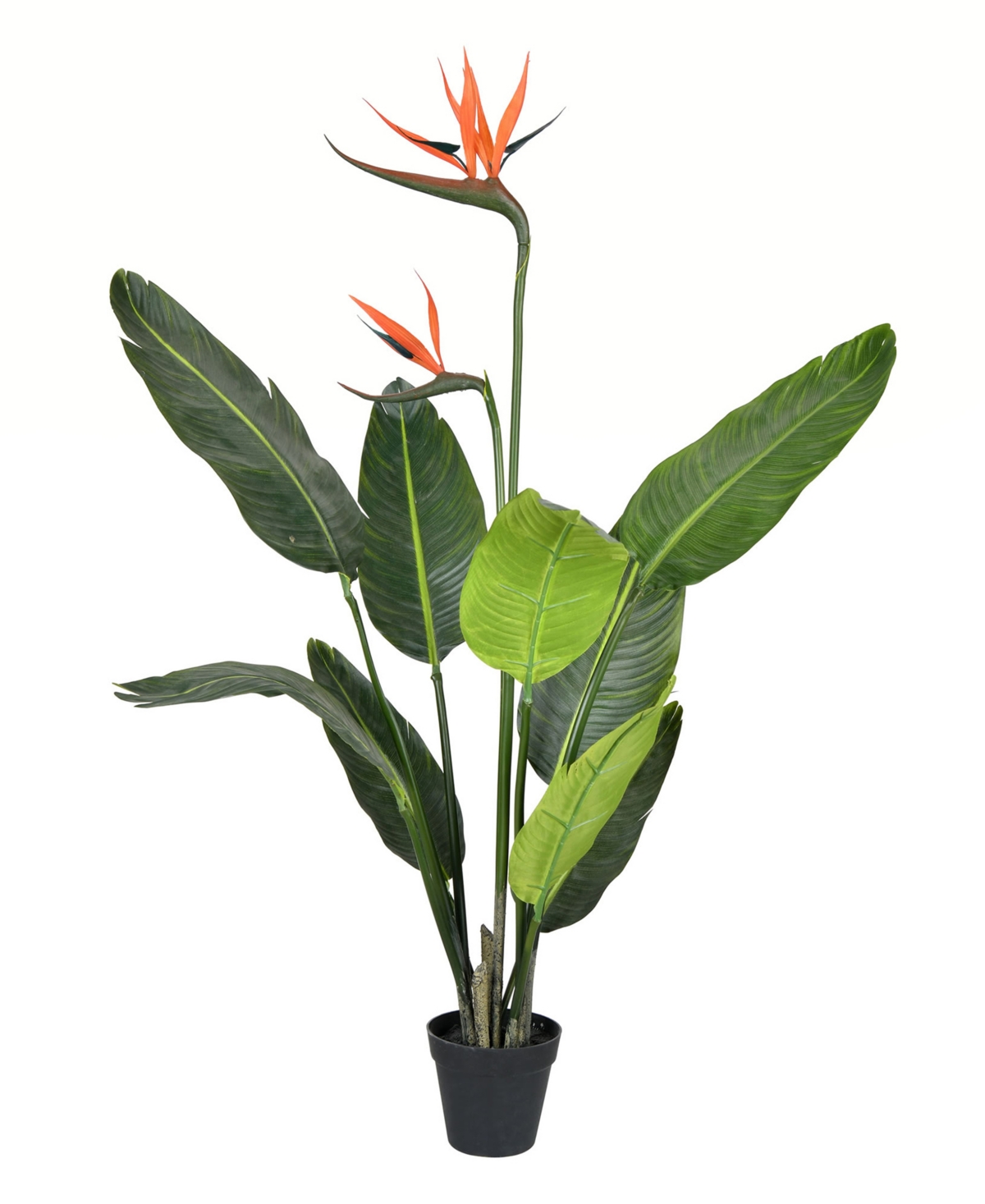 Vickerman 3' Artificial Potted Bird Of Paradise Palm Tree In Green