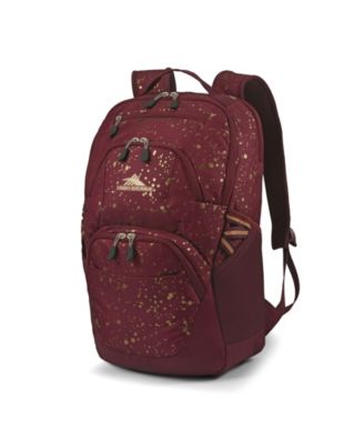 High Sierra Swerve Pro Backpack In 
