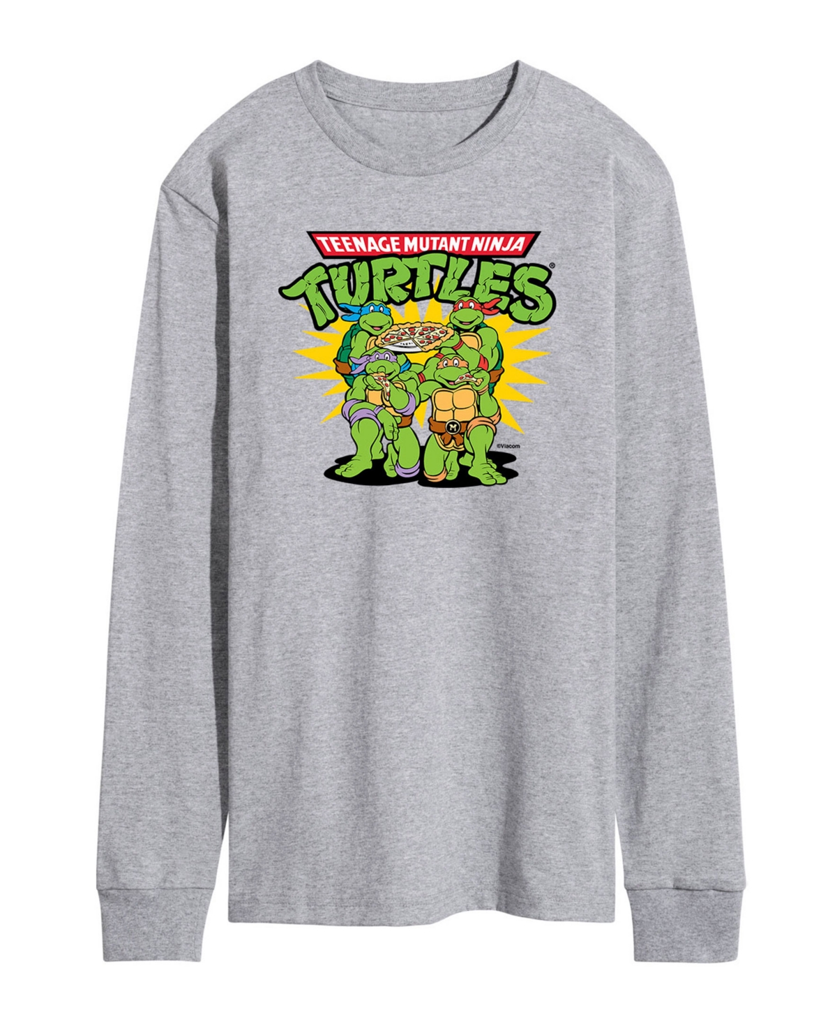 Men's Teenage Mutant Ninja Turtles T-shirt - Gray