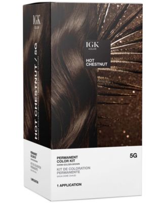 Igk Hair 6-Pc Permanent Color Set - Hot Chestnut 31$