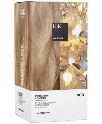 Igk Hair 6-Pc Permanent Color Set - Olsens 31$