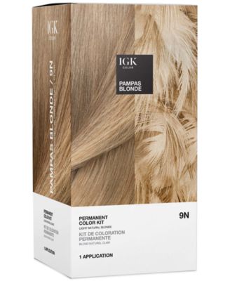 Igk Hair 6-Pc Permanent Color Set - Pampas Blonde 31$
