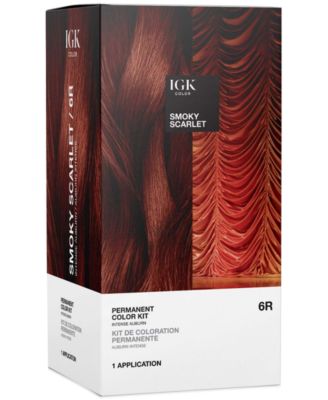 Igk Hair 6-Pc Permanent Color Set - Smoky Scarlet 31$