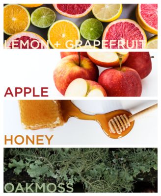 Men's 3-Pc. Royal Forest Gift Set