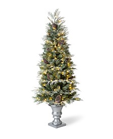 5' Pre-Lit Pine Artificial Christmas Porch Tree with 180 Warm White Lights