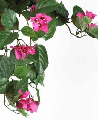 Bougainvillea Hanging Basket 