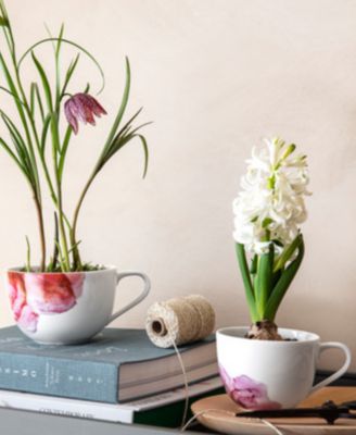 Rose Garden Breakfast Cup