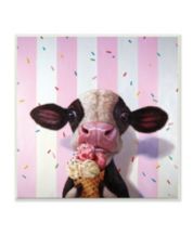 Stupell Industries Country Cattle Wooly Highland Portrait Rainbow Hair  Gallery Wrapped Canvas Wall Art, 24 x 30