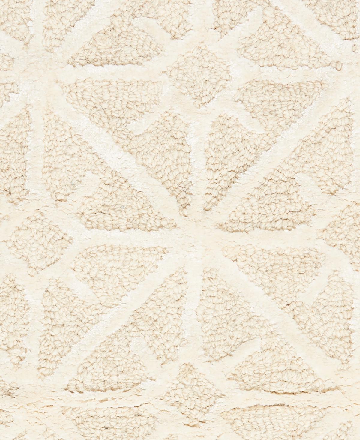 Nicole Curtis Series 2 SR201 Area Rug
