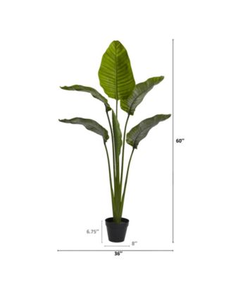 63" Travellers Palm UV-Resistant Indoor/Outdoor Tree 