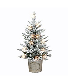 3' B/O Potted Flocked Tree with 50 Warm White LED Light, 458 Tips