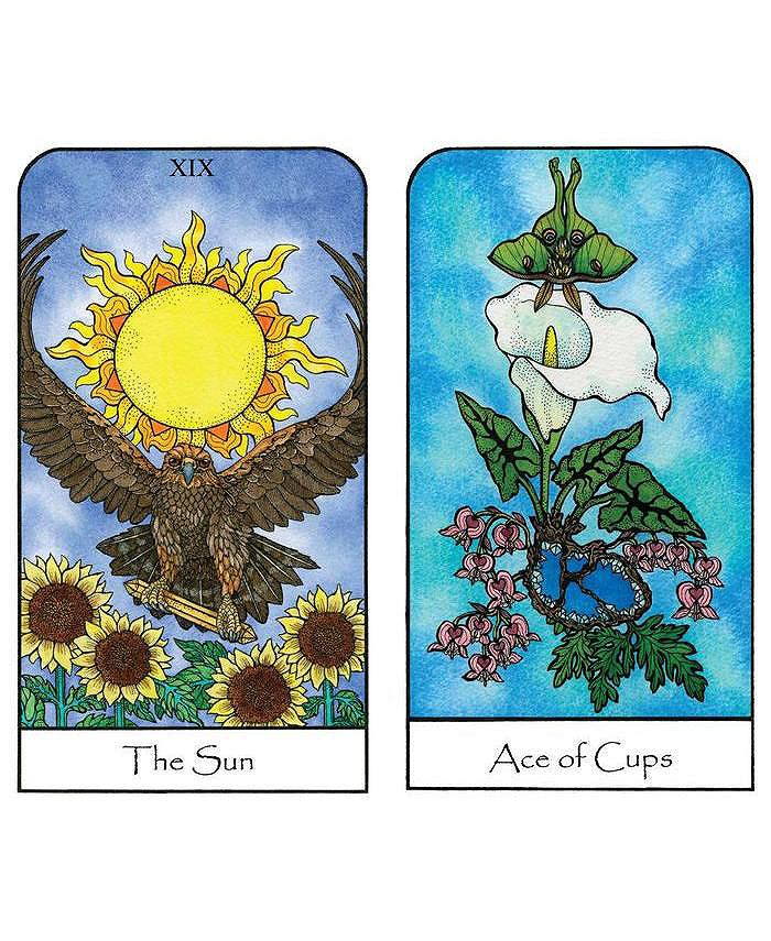 Barnes & Noble Nature Spirit Tarot A 78Card Deck and Book For The
