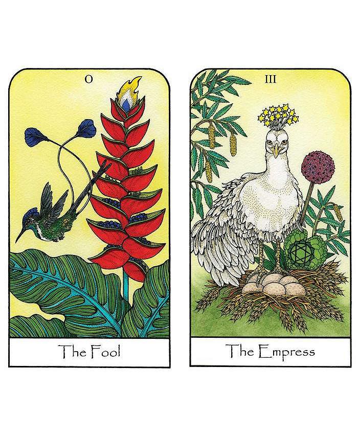 Barnes & Noble Nature Spirit Tarot A 78Card Deck and Book For The