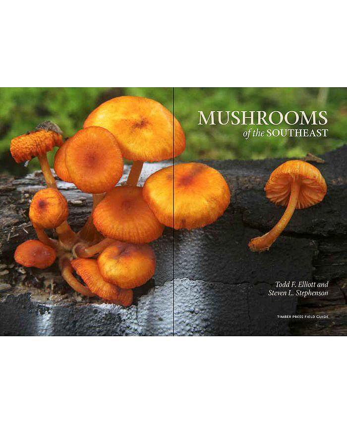 Barnes & Noble Mushrooms of the Southeast by todd F. Elliott Macy's