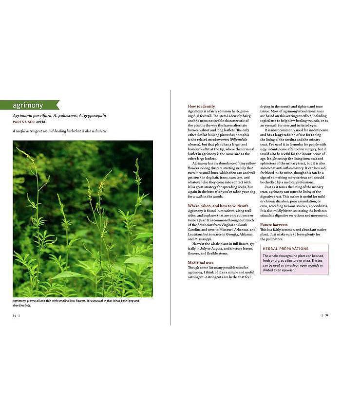 Barnes & Noble Southeast Medicinal Plants Identify, Harvest, and Use