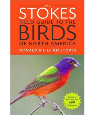 Barnes & Noble