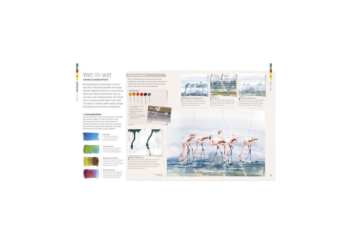 Watercolor Techniques for Artists and Illustrators: Learn How to Paint Landscapes, People, Still Lifes, and More. by Dk