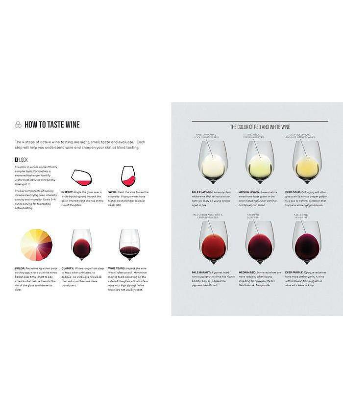 Barnes & Noble Wine Folly The Essential Guide to Wine by Madeline