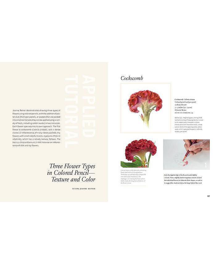Barnes & Noble Botanical Art Techniques A Comprehensive Guide to