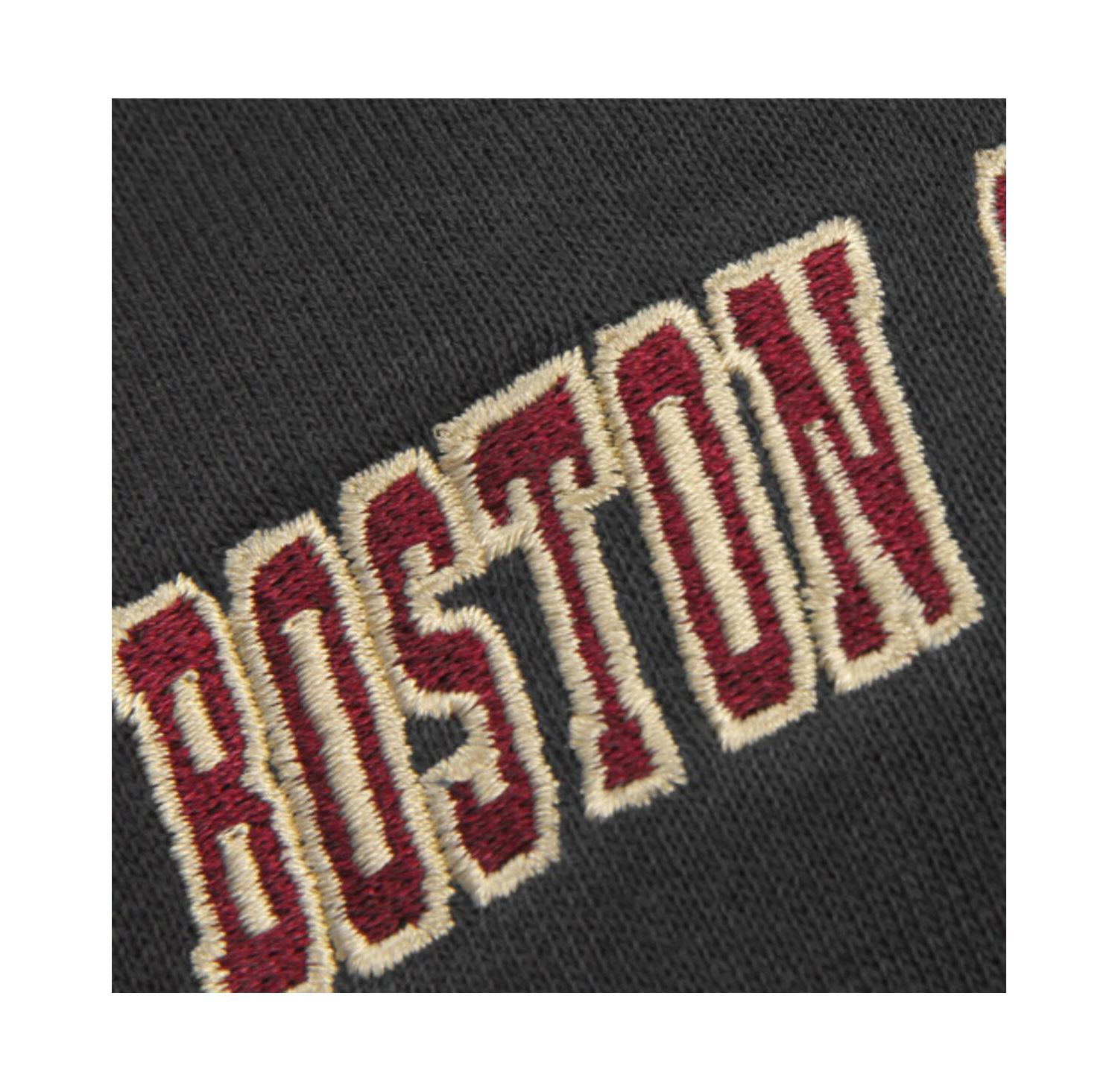 Big Boys Boston College Eagles Big Logo Pullover Hoodie