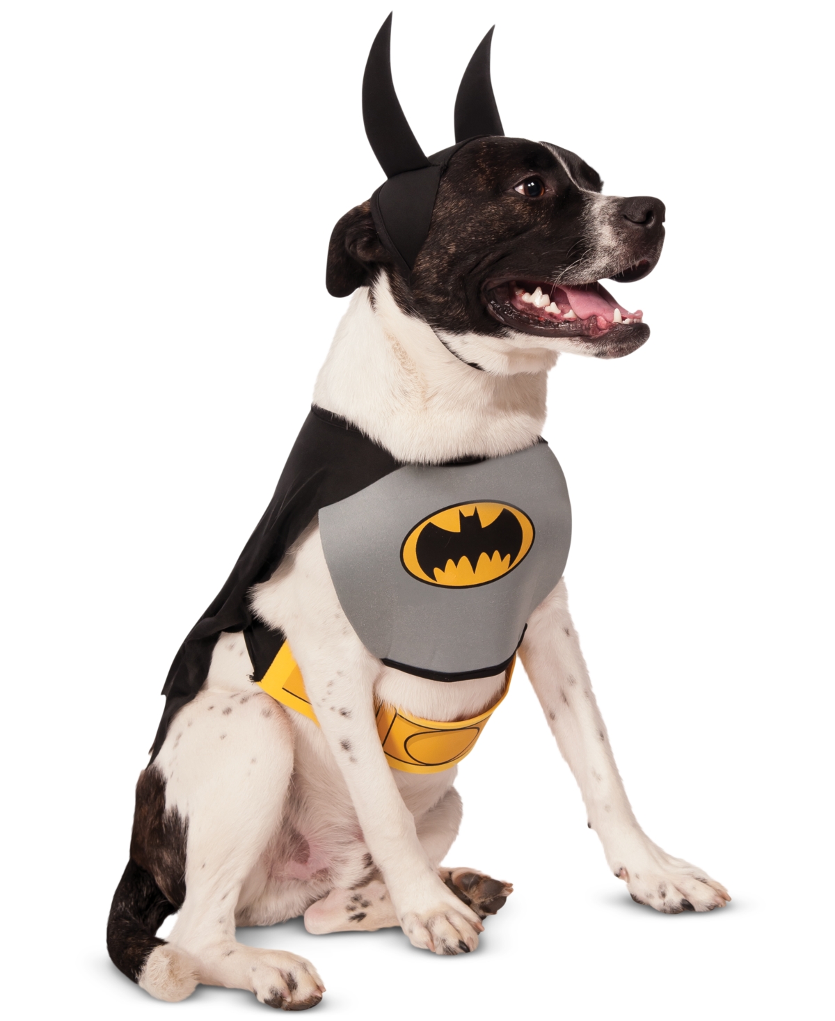 UPC 883028789177 product image for Rubies Pet Shop Boutique Classic Batman Dog Halloween Costume - L/Xl | upcitemdb.com