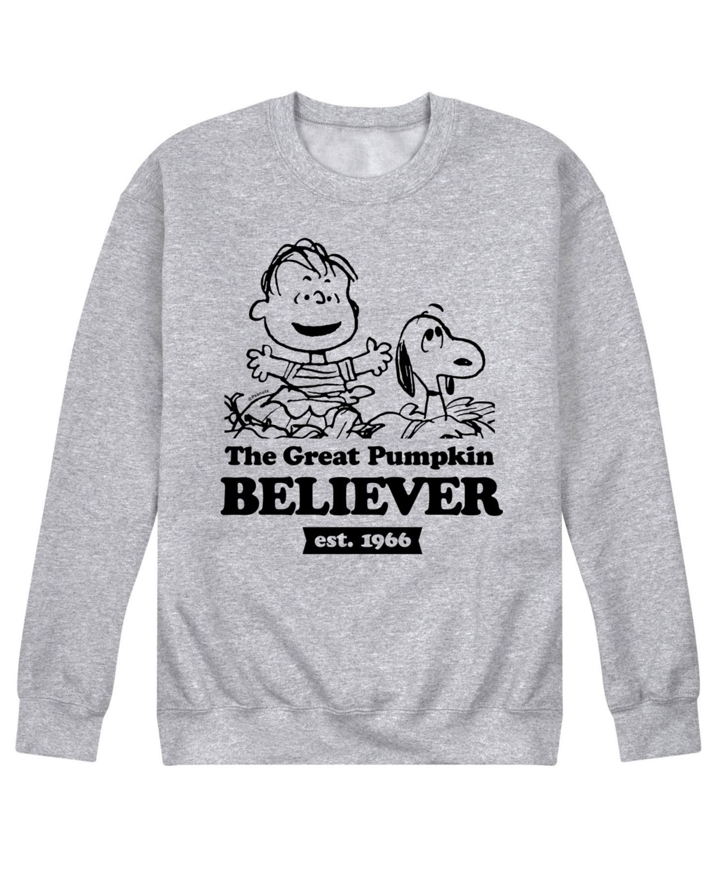 Мужская футболка AIRWAVES Peanuts Great Pumpkin Believer Fleece, цвет: Серый — фото 1