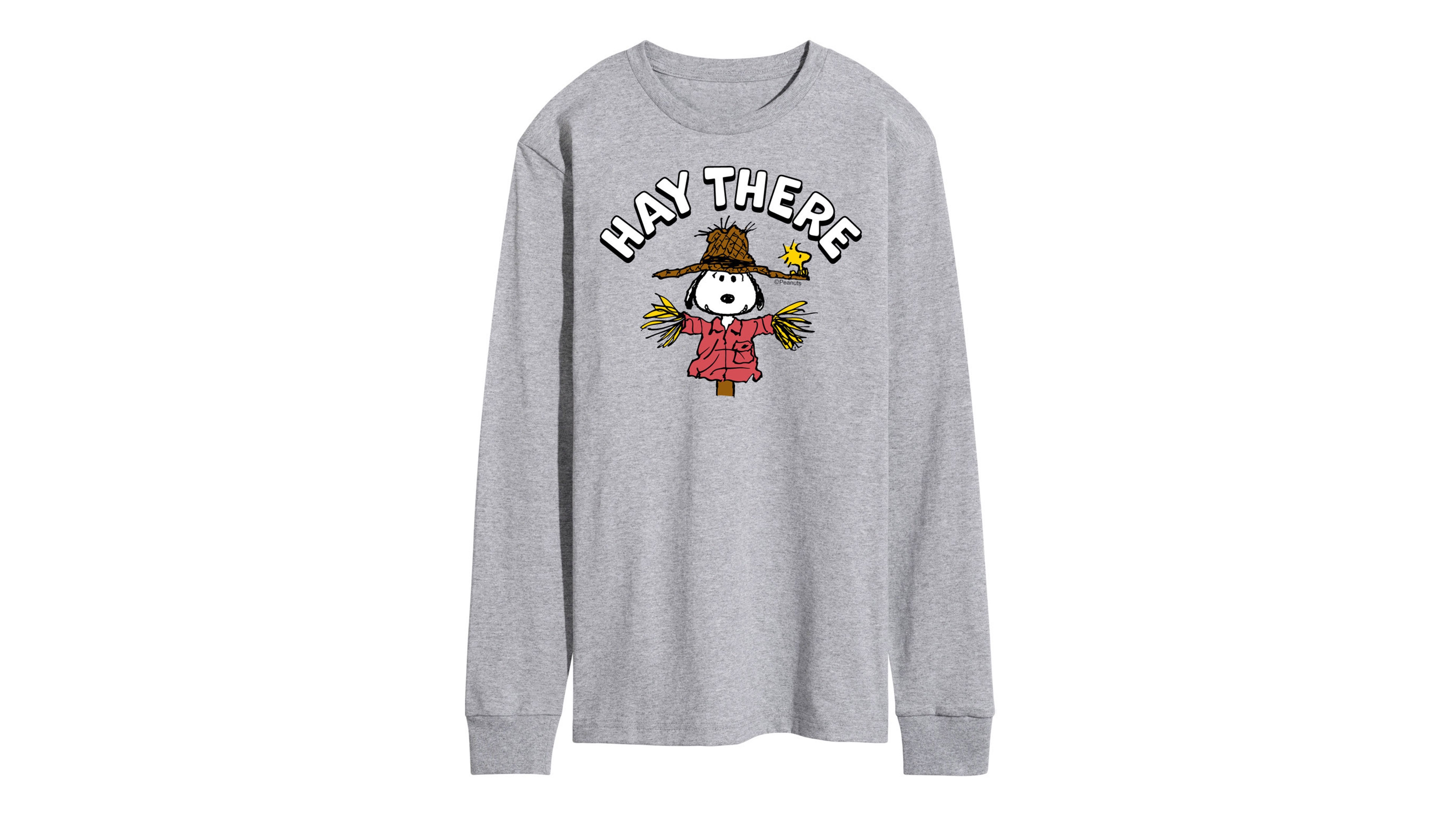 Airwaves Men's Peanuts Hay There T-shirt