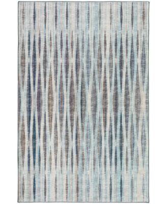 Amador Washable AA1 3' x 5' Area Rug