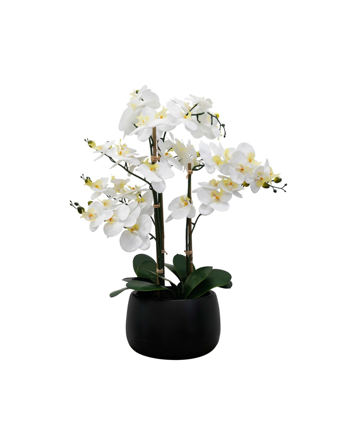 Tabletop Artificial Orchid Arrangement in Ceramic, 32" - Black