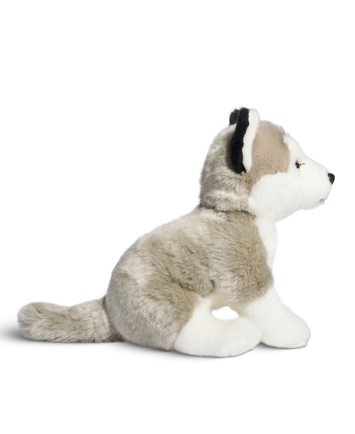 Shop Geoffrey's Toy Box 10" Plush Puppy Floppy Husky, Created For Macy's In Gray