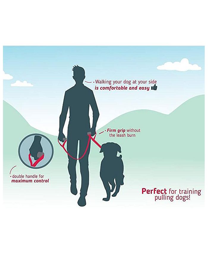Leashboss Double Handle Dog Leash for Big Dogs, No Pull Training Lead
