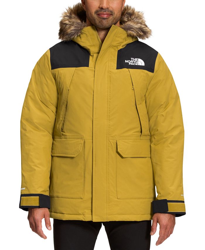 parka north the face