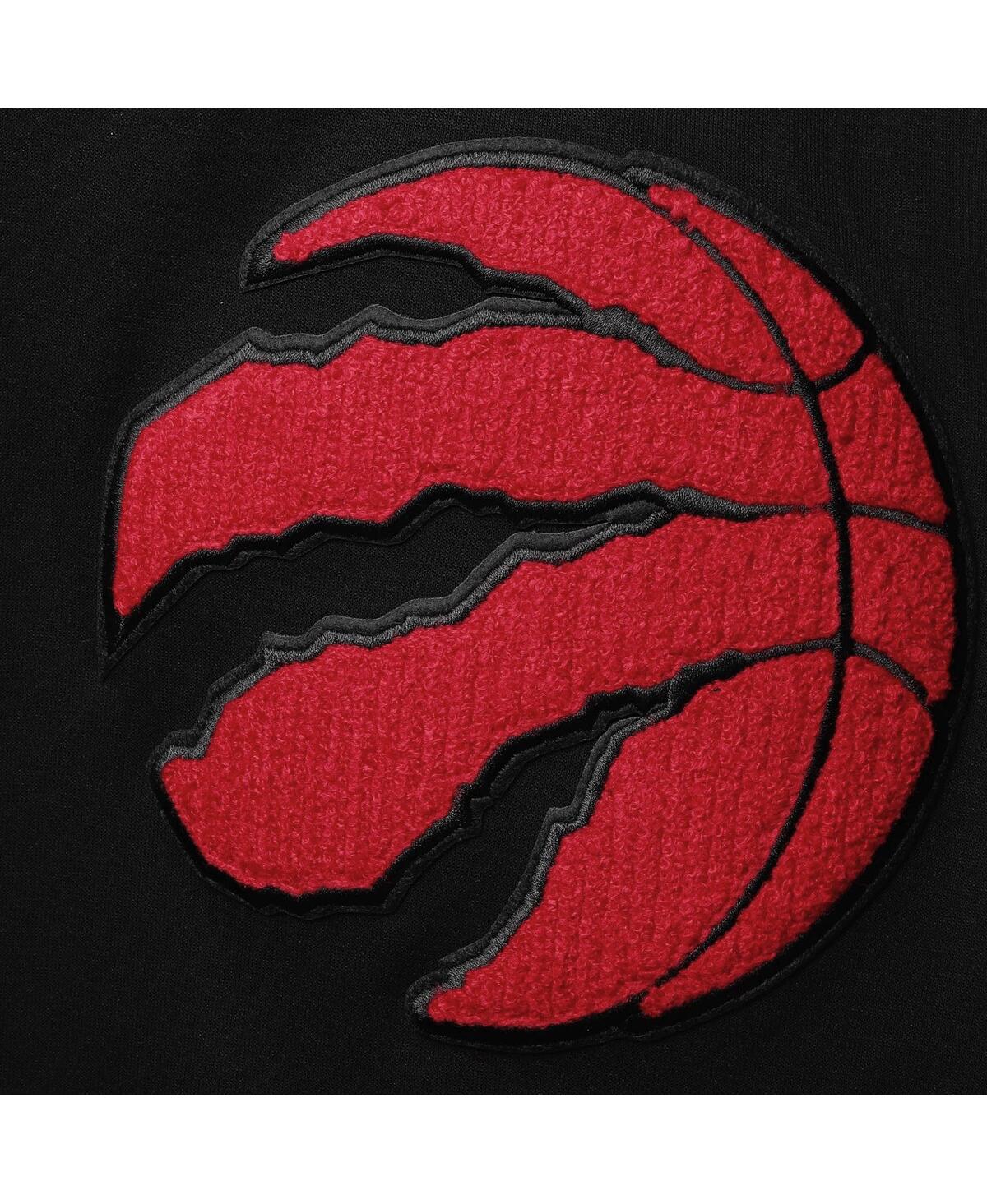 Men's Pro StandardToronto Raptors Chenille Team Pullover Hoodie - Black
