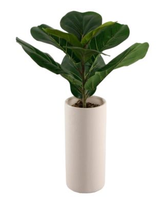 Flora Bunda
