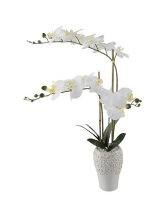 Flora Bunda