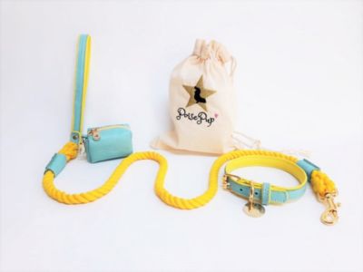 Pet Dog Collar - Sunshine Babe