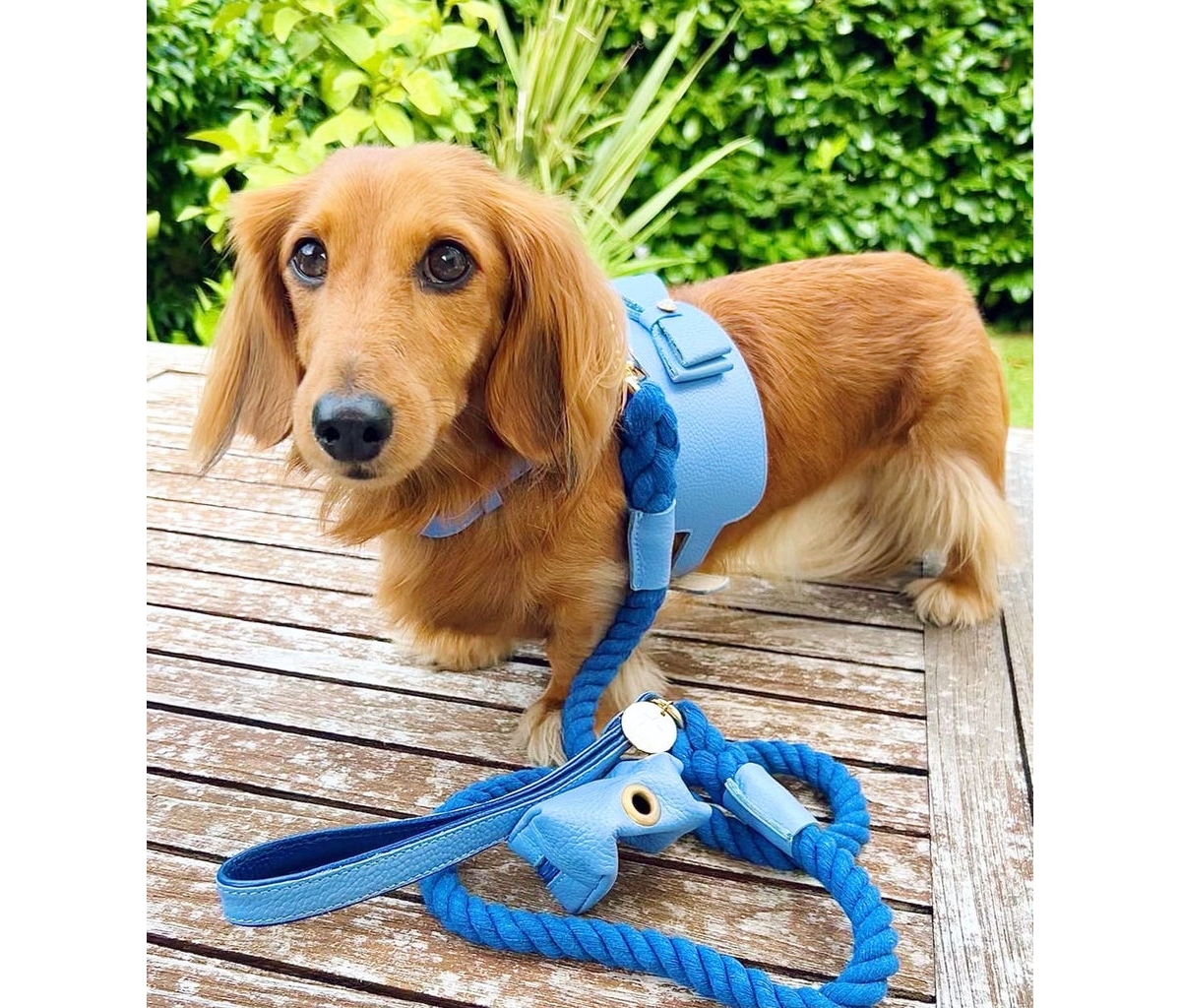 PoisePup Pet Dog Treat Bag -- Ocean vibes