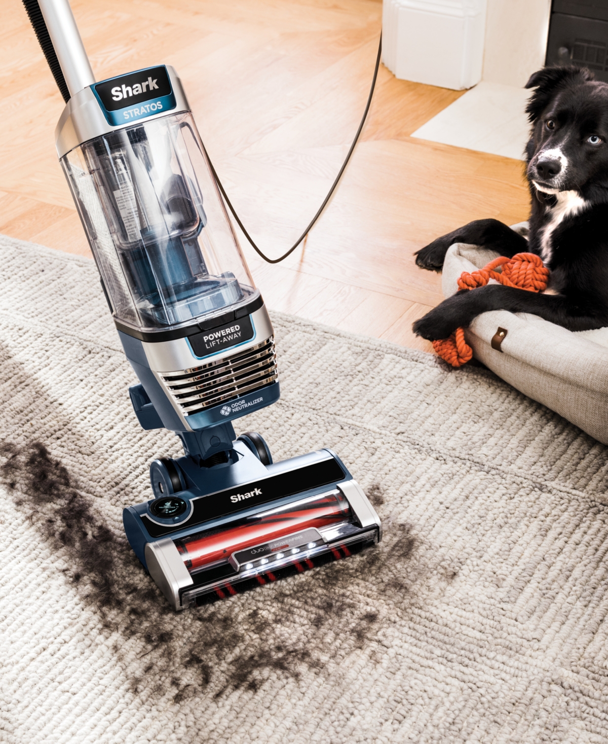 Shark Vertex Upright Vacuum In No Color