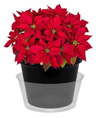 L-0015 Heavy Gauge Vinyl Basket Liner, 10-Inch Diameter, Clear