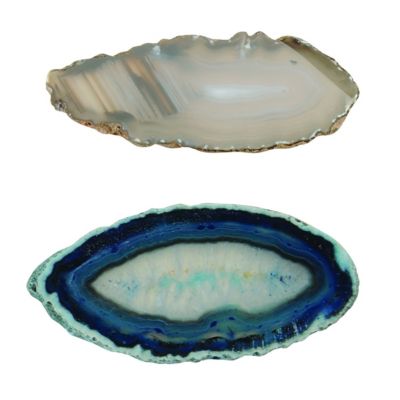 Let's See Nature Collection with Fossils, Rocks, Mineral and More