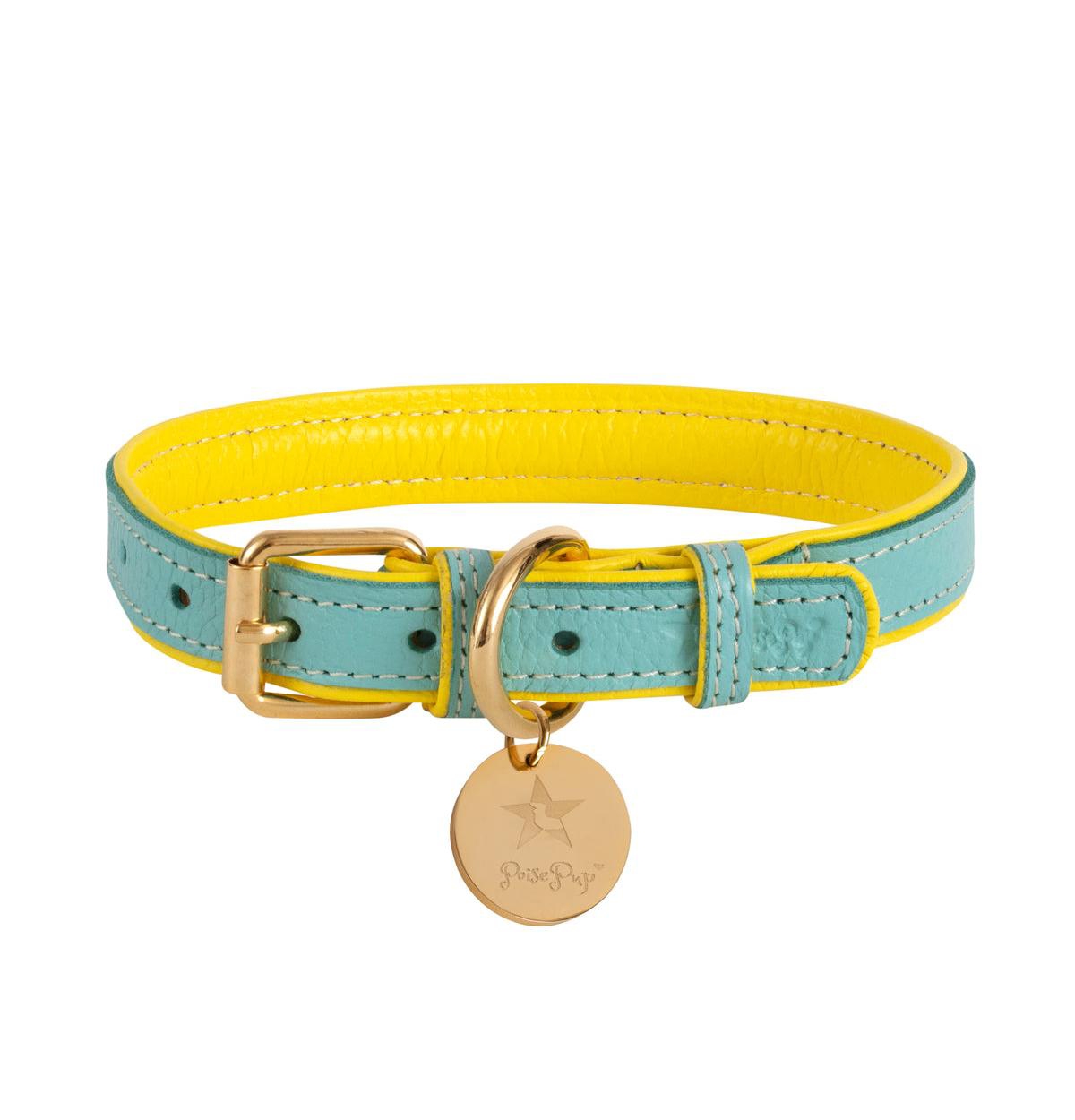 PoisePup Pet Dog Collar -- Sunshine babe