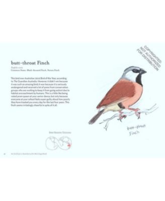 The Field Guide to Dumb Birds of the Whole Stupid World by Matt Kracht