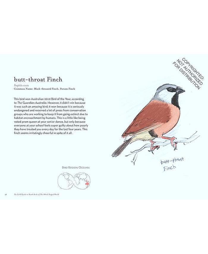 Barnes & Noble The Field Guide to Dumb Birds of the Whole Stupid World